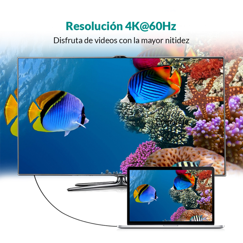 Cable USB C thunderbolt 3 a DisplayPort 4K - Imagen 5